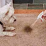 Удалим пятна