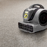 Высушим ковровым феном