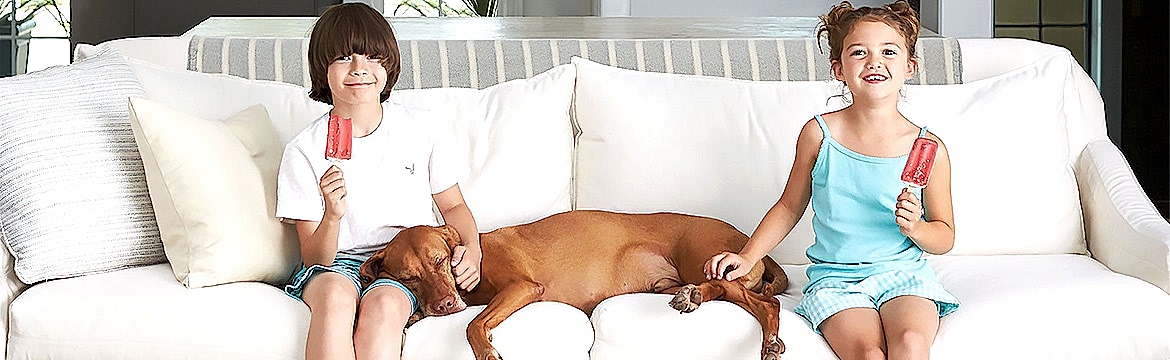 Профессиональная химчистка мягкой мебели: безопасное удаление пятен без вреда для детей и животных