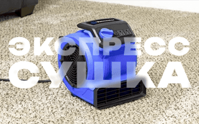 Экспресс сушка мебели в подарок