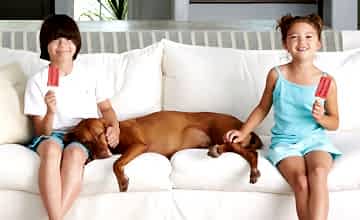 Профессиональная химчистка мягкой мебели: безопасное удаление пятен без вреда для детей и животных